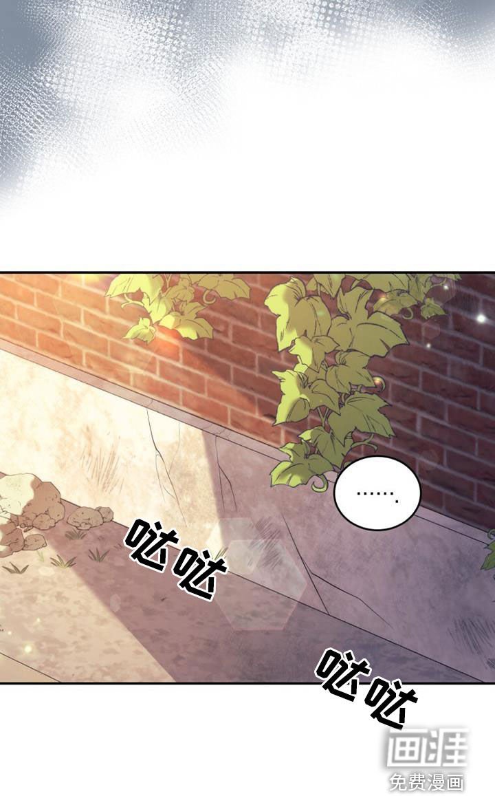 第36章：恭喜你
