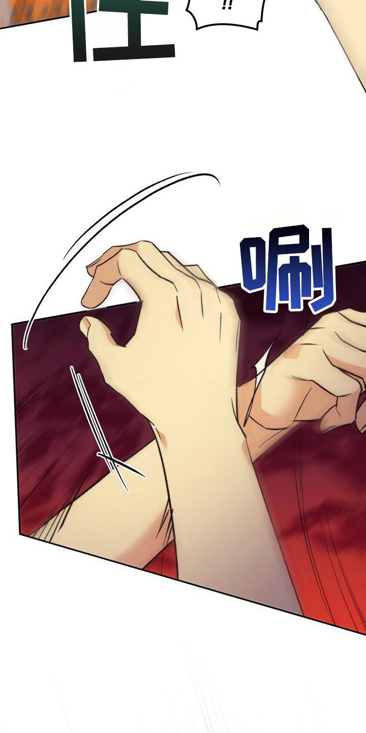 第43章：隐情