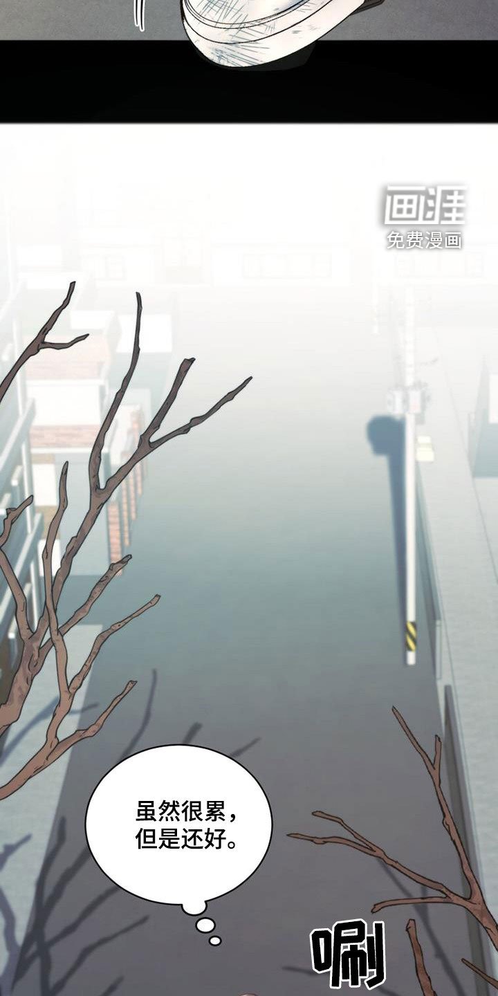 第44章：表情