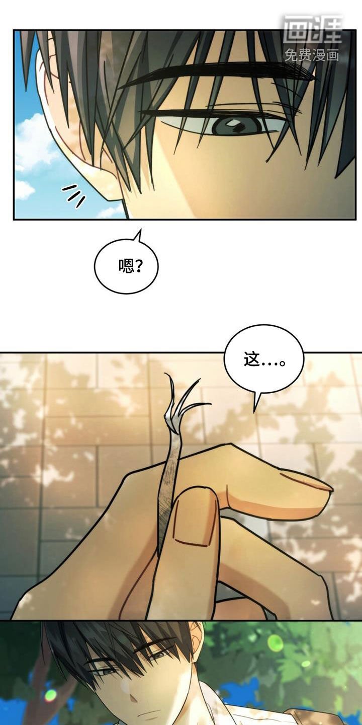 第48章：传开了