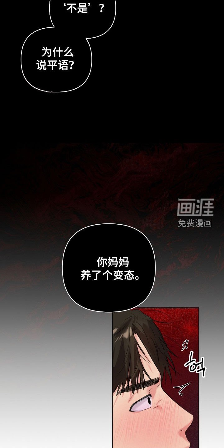 第28章：真是搞不懂