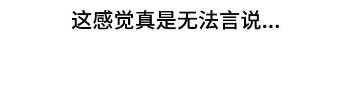第22章：完美借口