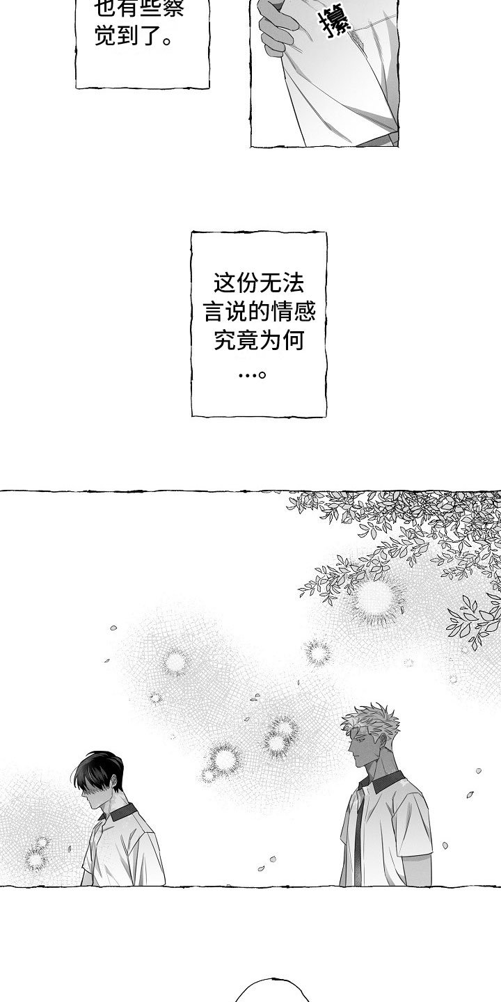 第11章：命运的安排