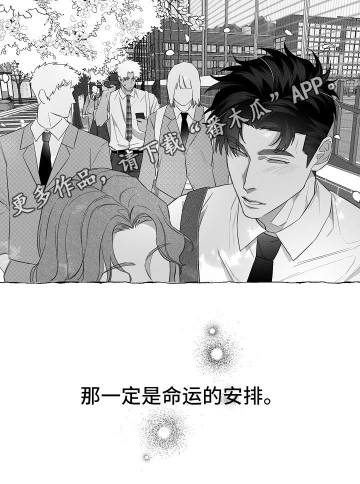 第11章：命运的安排