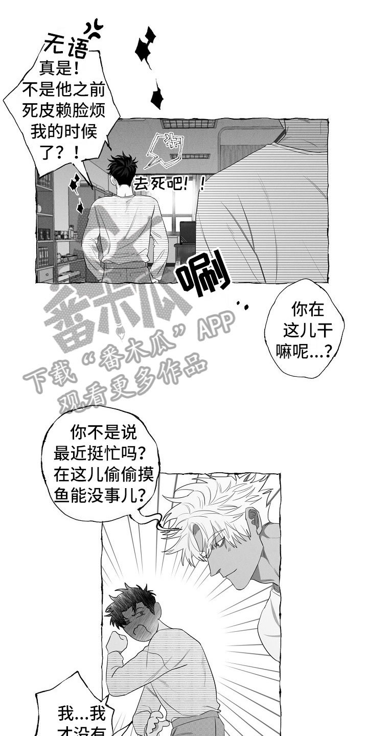 第13章：看烟花