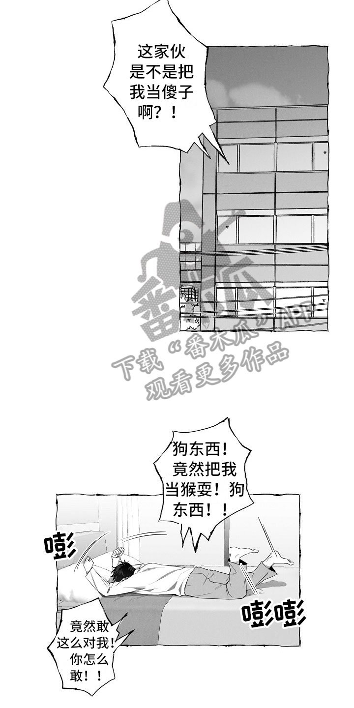 第13章：看烟花