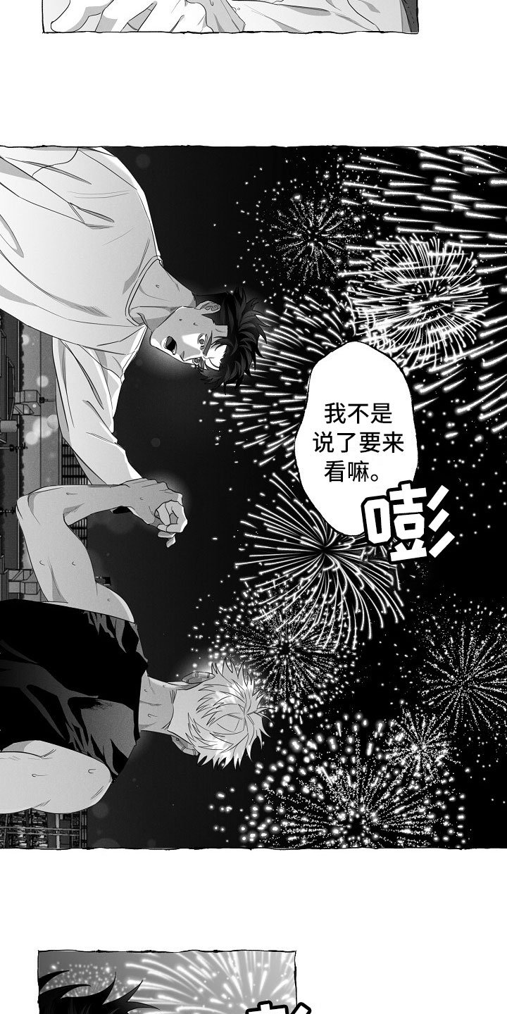 第13章：看烟花