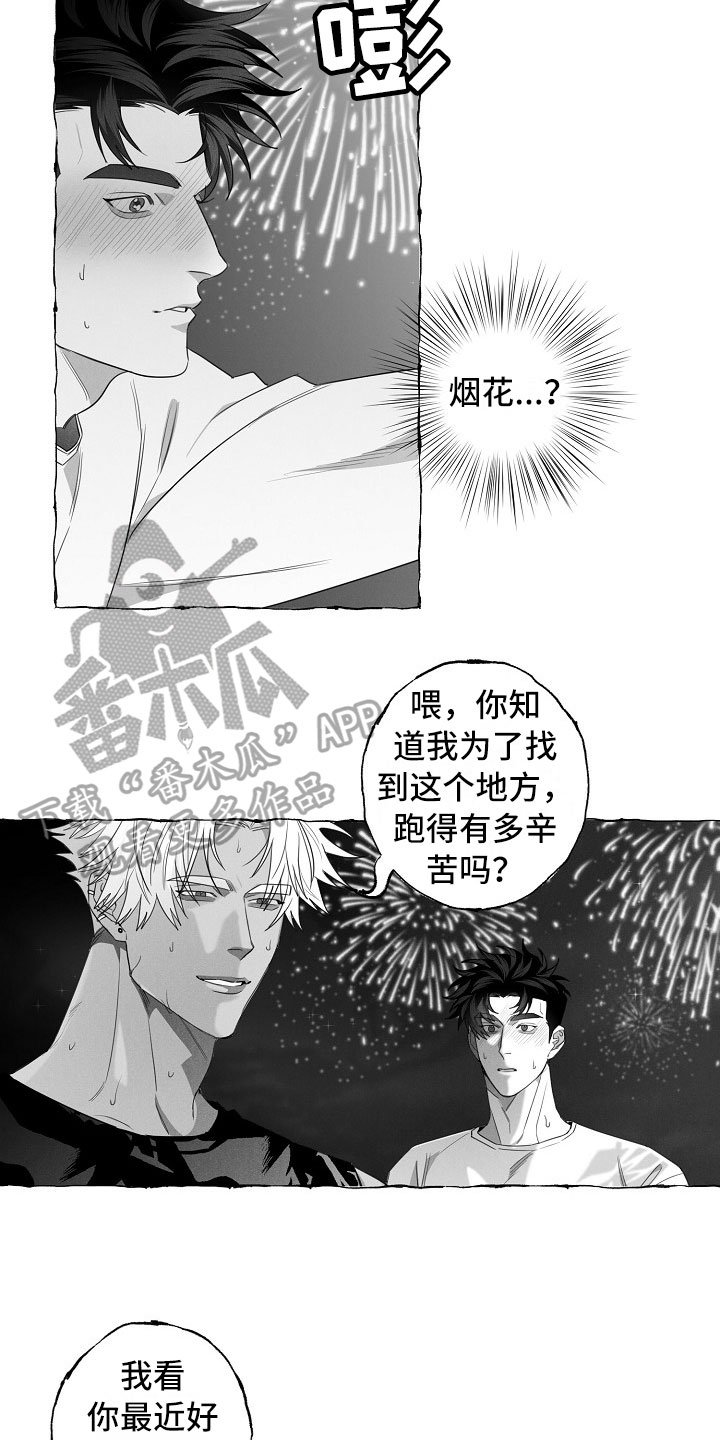 第13章：看烟花