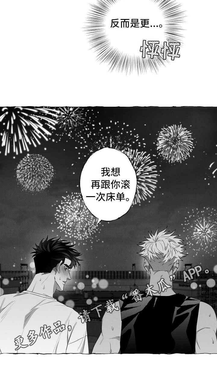 第13章：看烟花