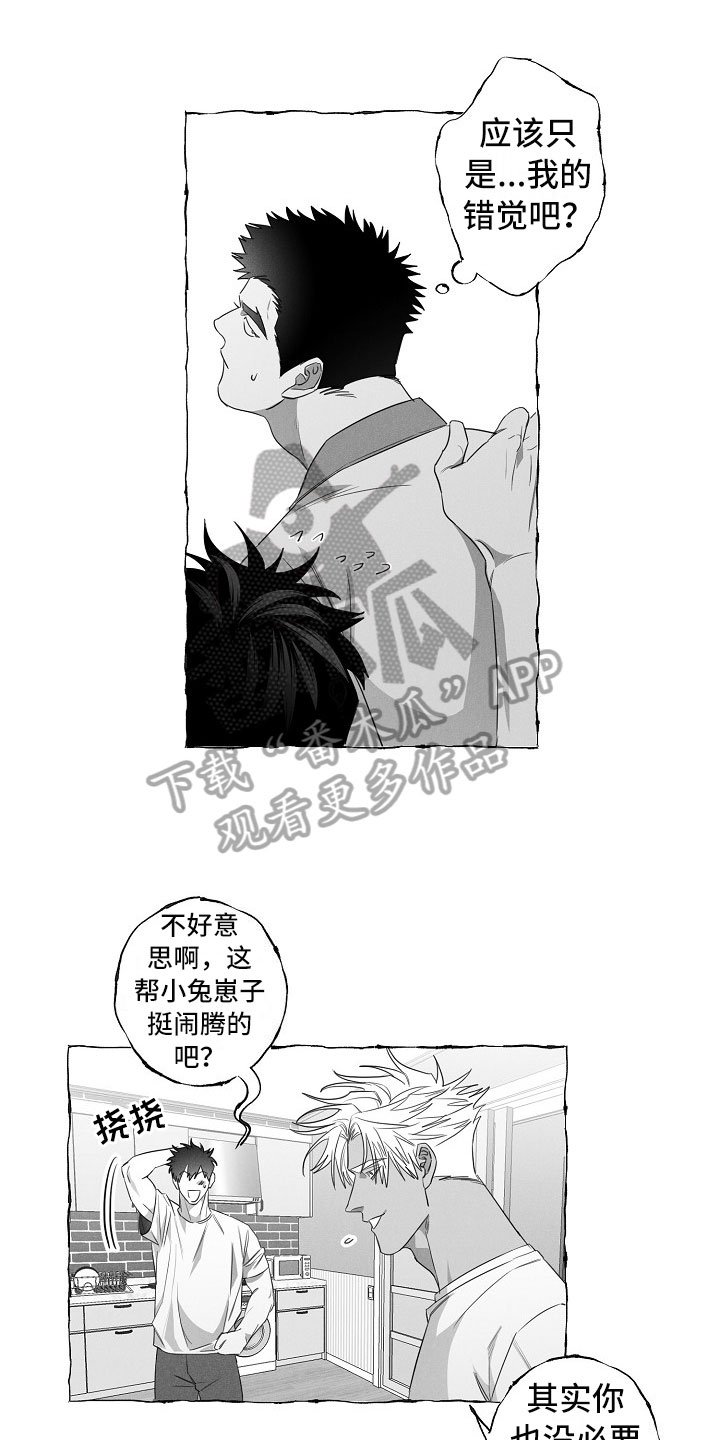 第17章：注意