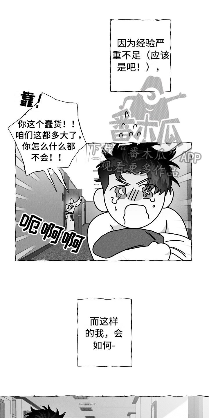 第19章：软肋