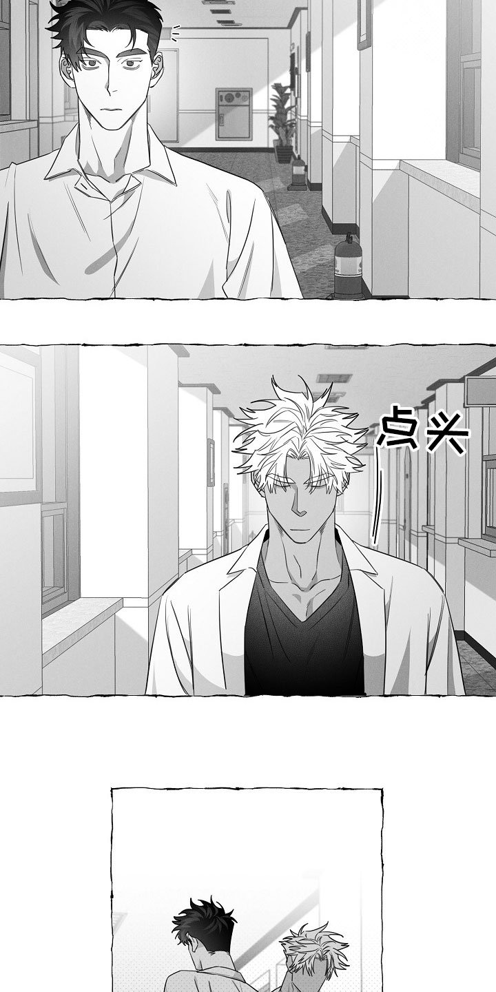 第19章：软肋