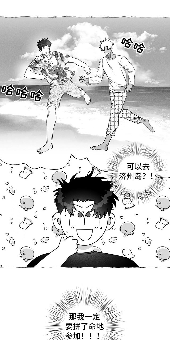 第19章：软肋