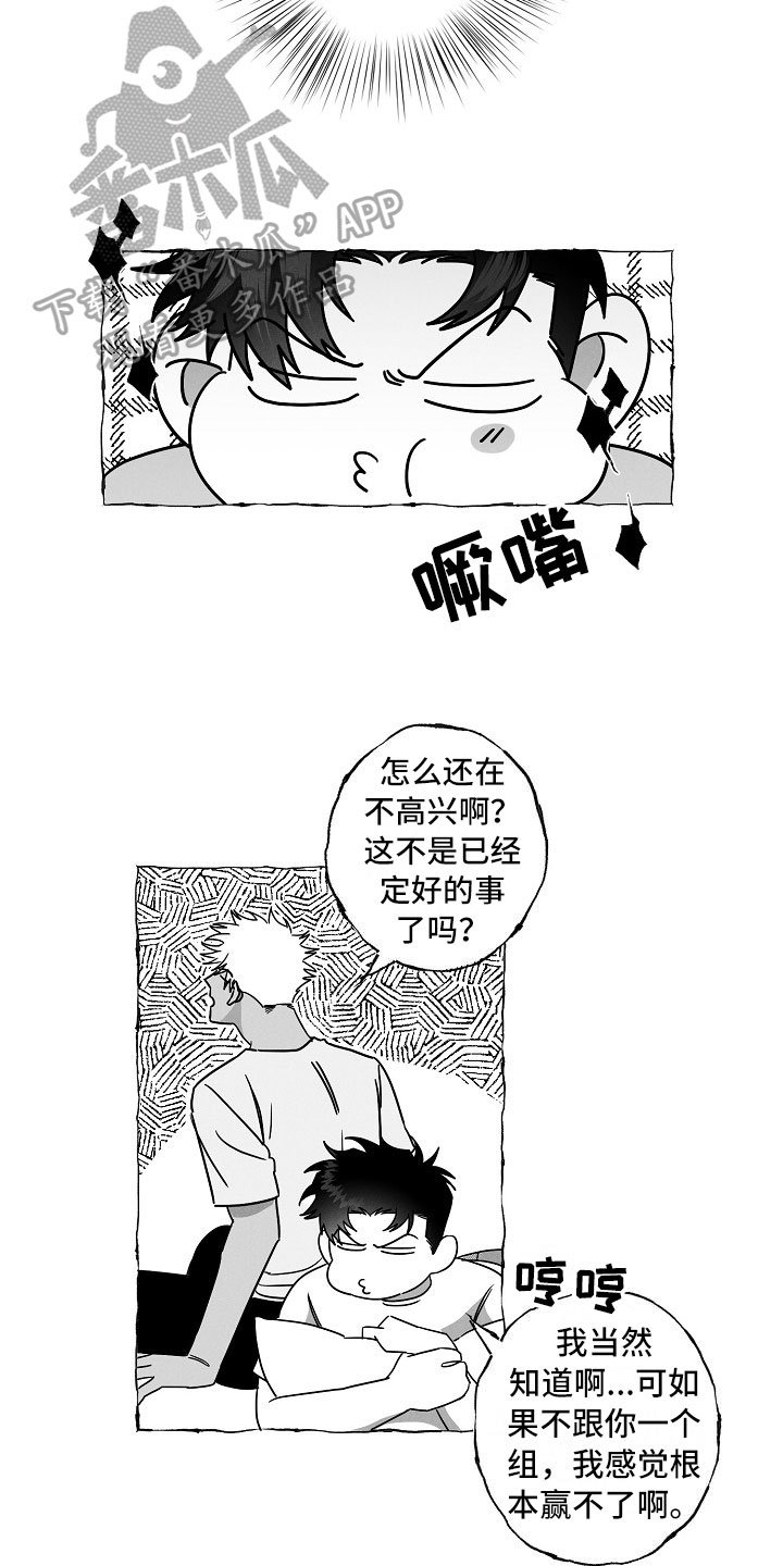 第19章：软肋