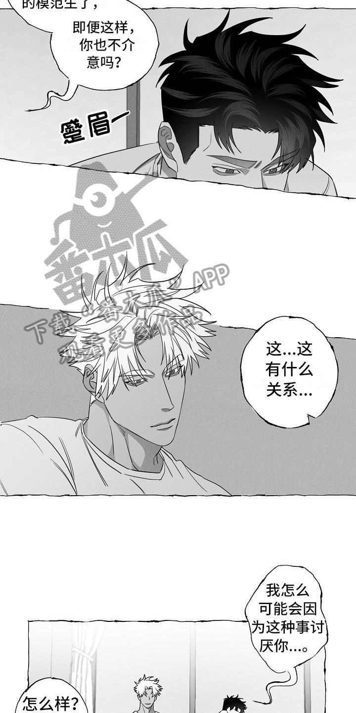 第19章：软肋