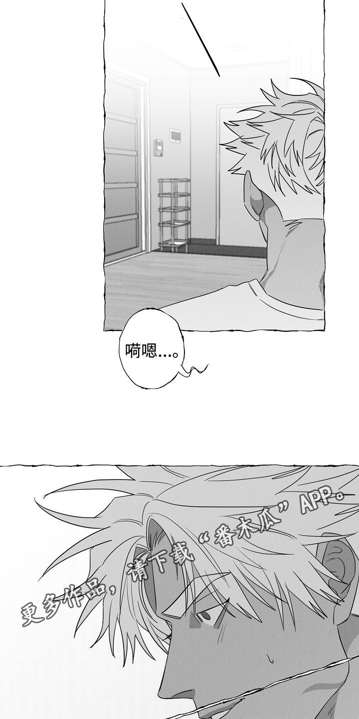 第19章：软肋