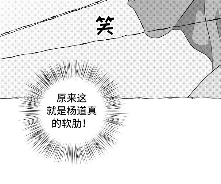 第19章：软肋