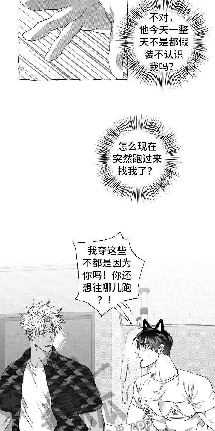 第25章：决心