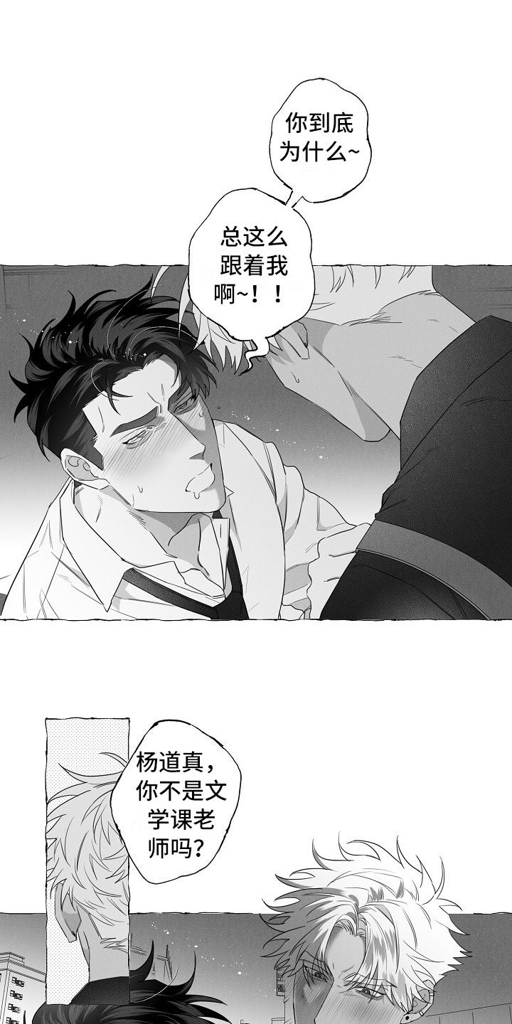 第4章：醉意