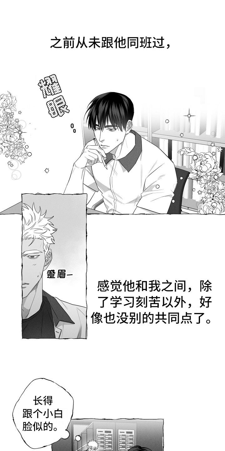 第9章：共同点