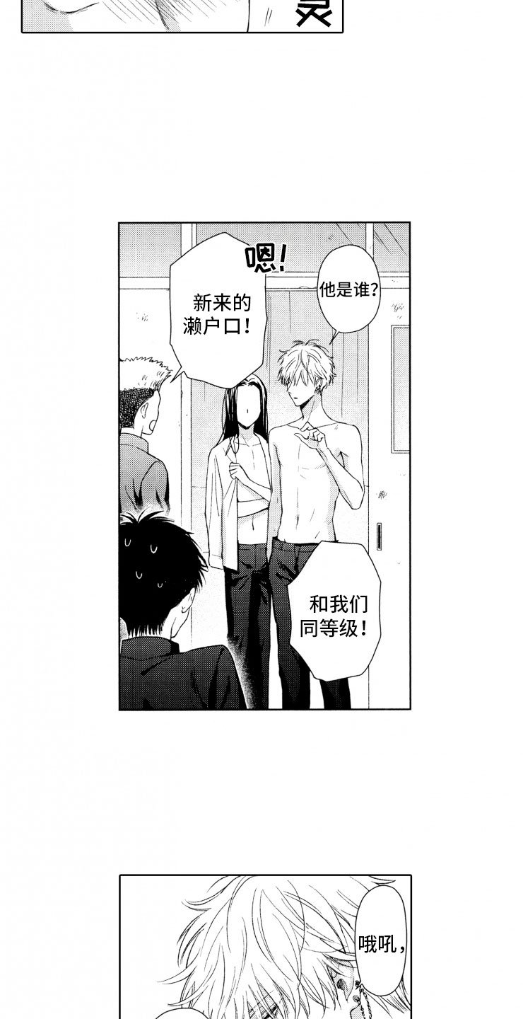 第1章：狗急跳墙