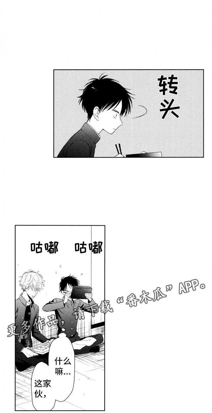 第13章：便当
