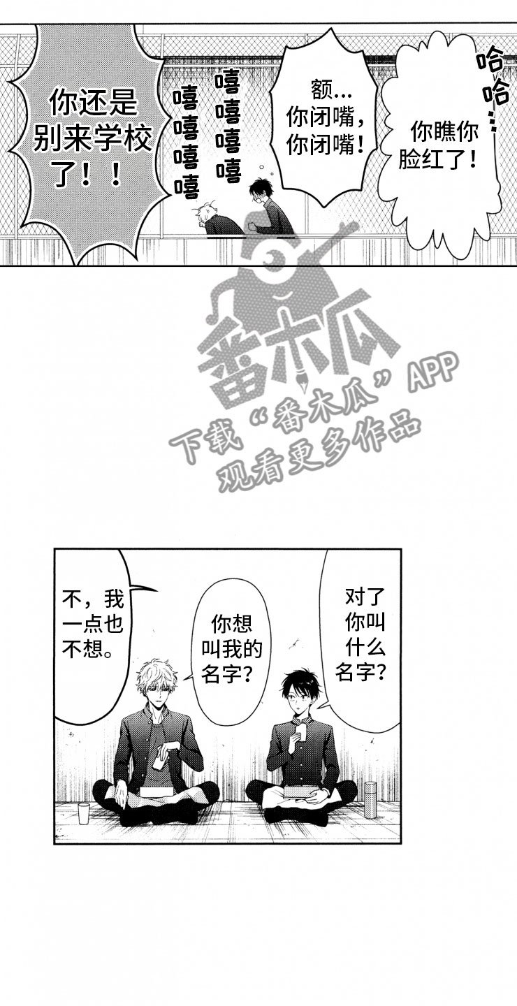 第18章：解决