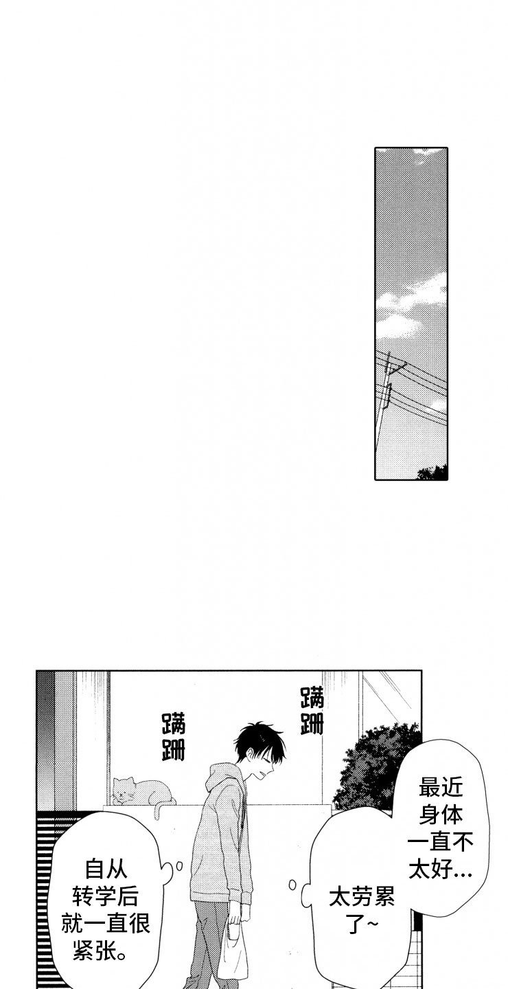 第8章：上树