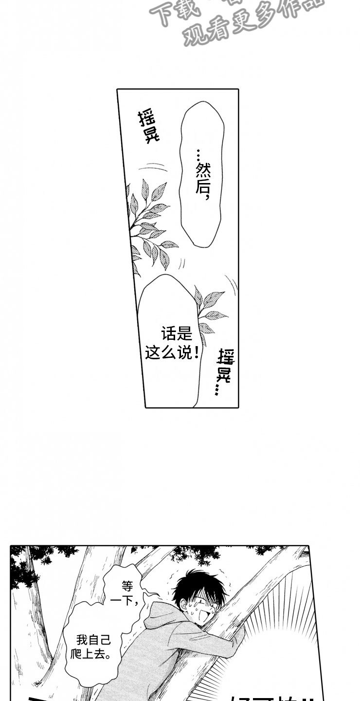 第8章：上树