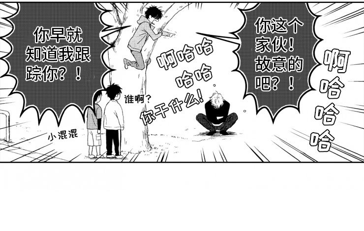 第8章：上树