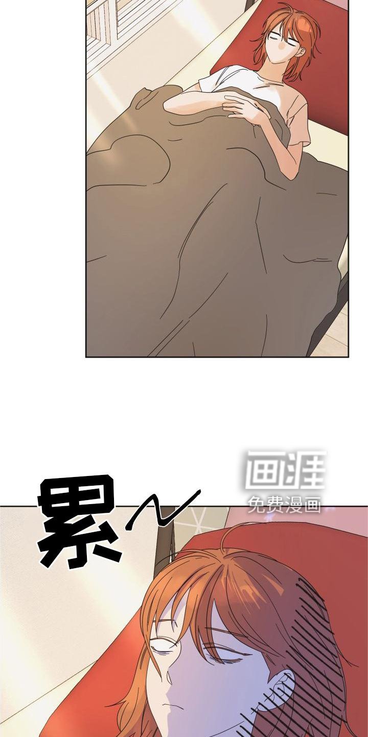 第19章：意见