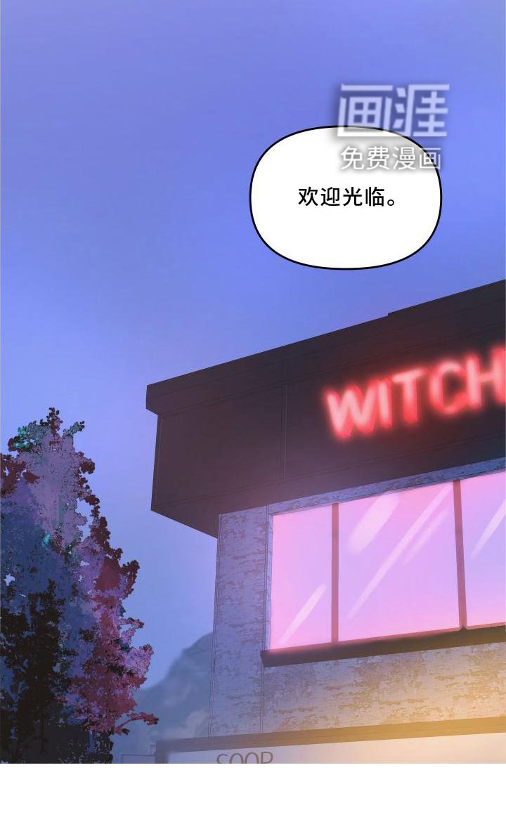 第19章：意见