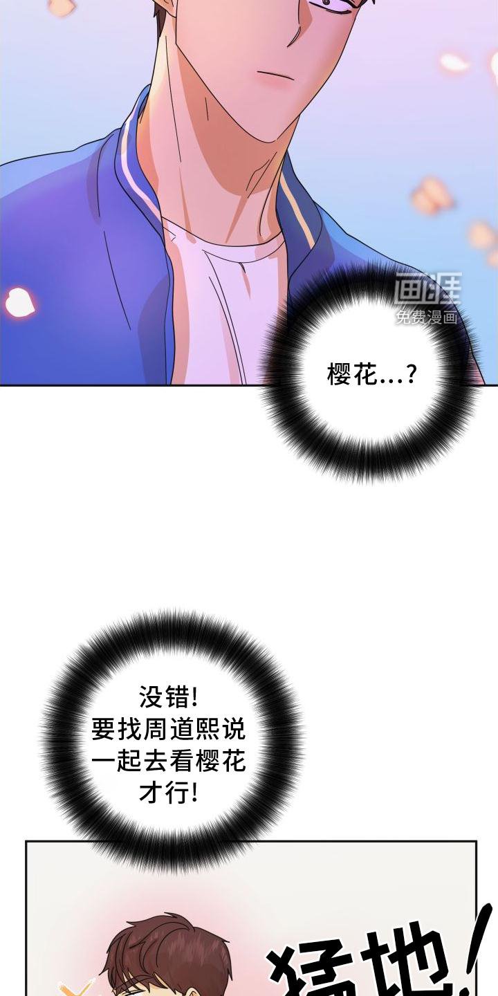 第35章：樱花