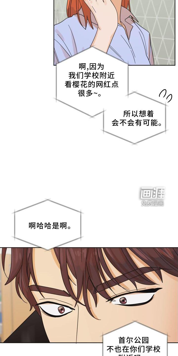 第35章：樱花