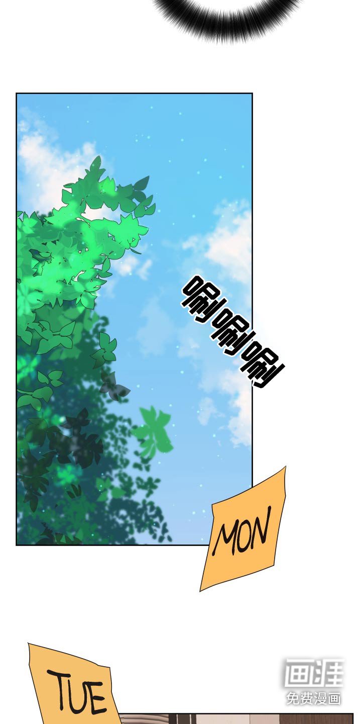 第53章：【第二季】视频通话