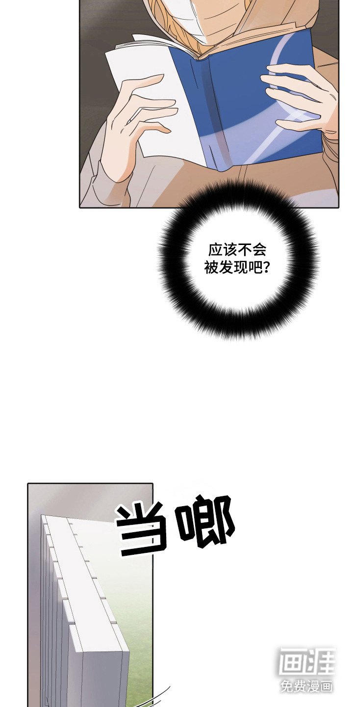 第91章：【第三季】新的恋人