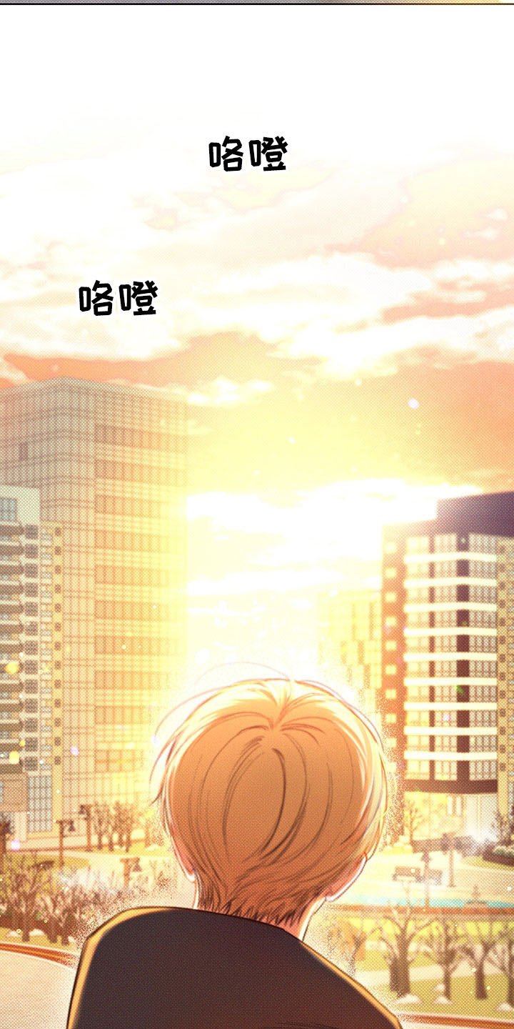 第15章：遐想