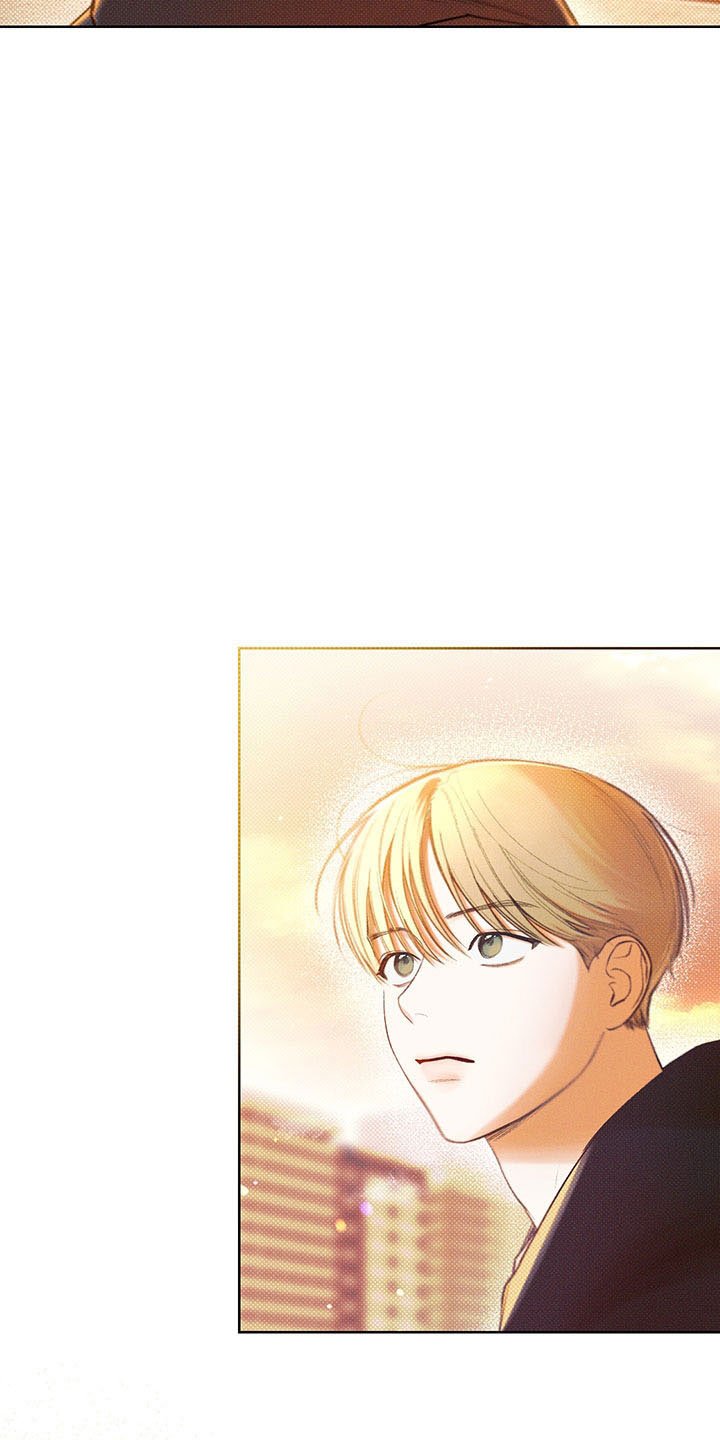 第15章：遐想