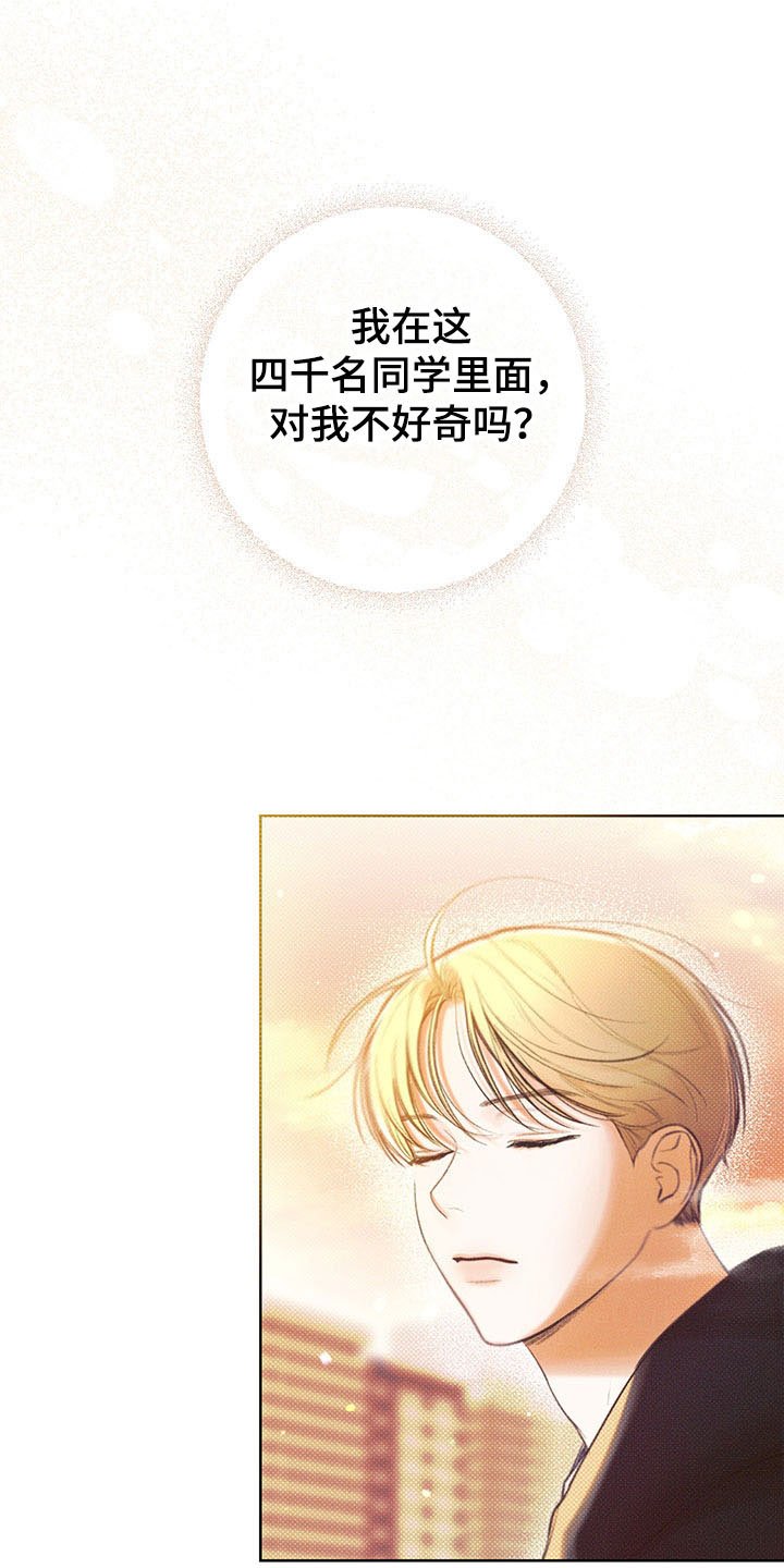 第15章：遐想