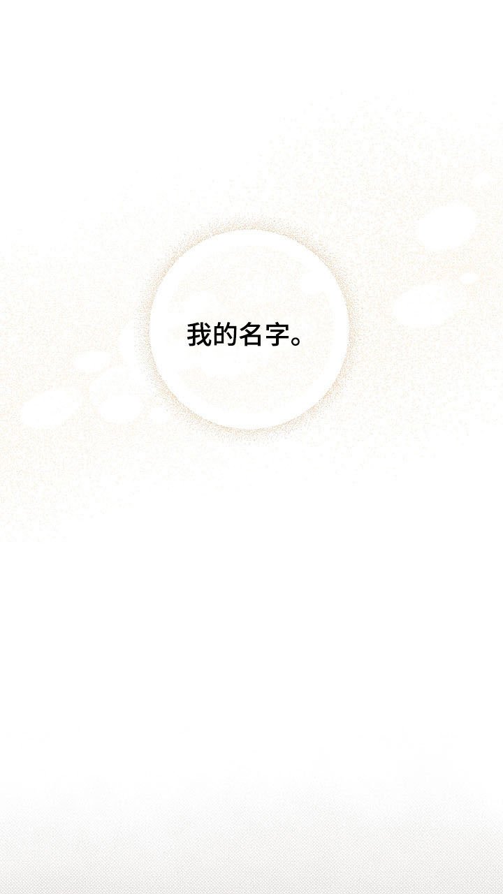第15章：遐想
