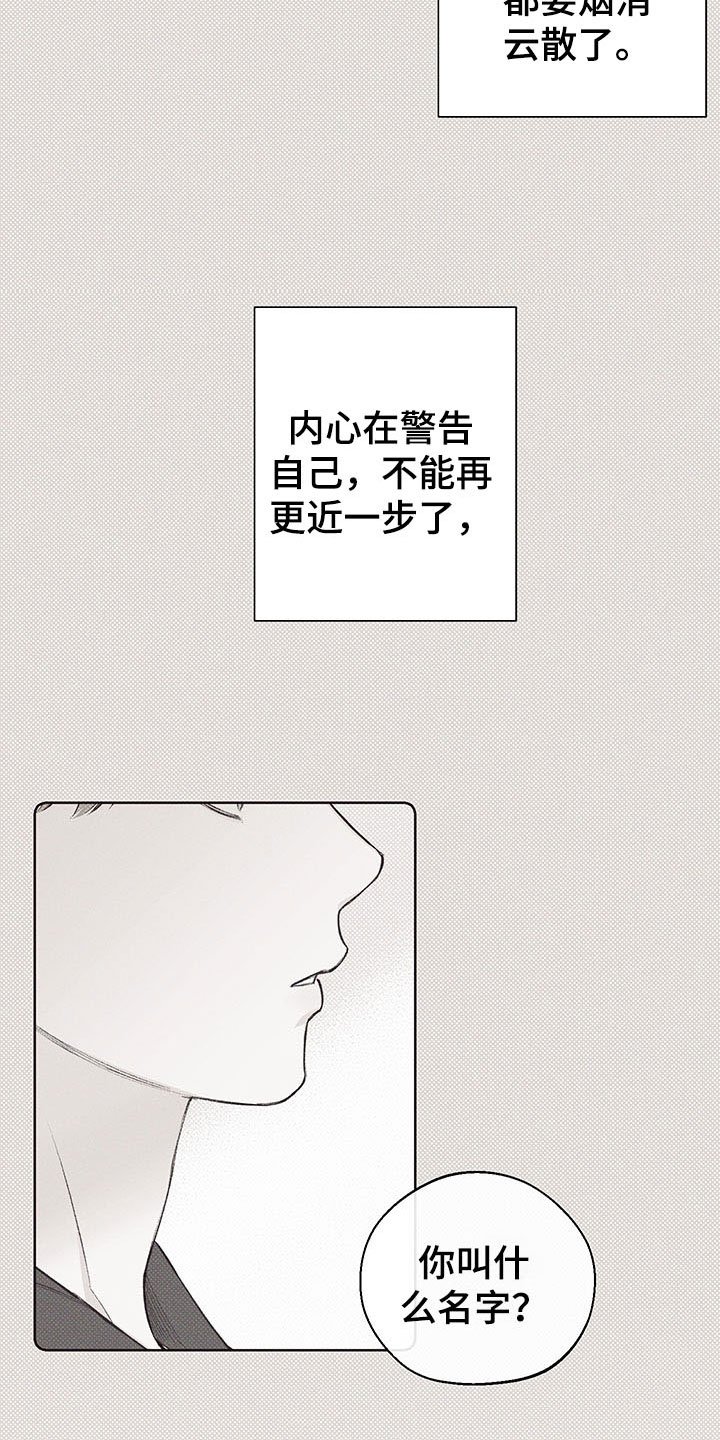 第15章：遐想
