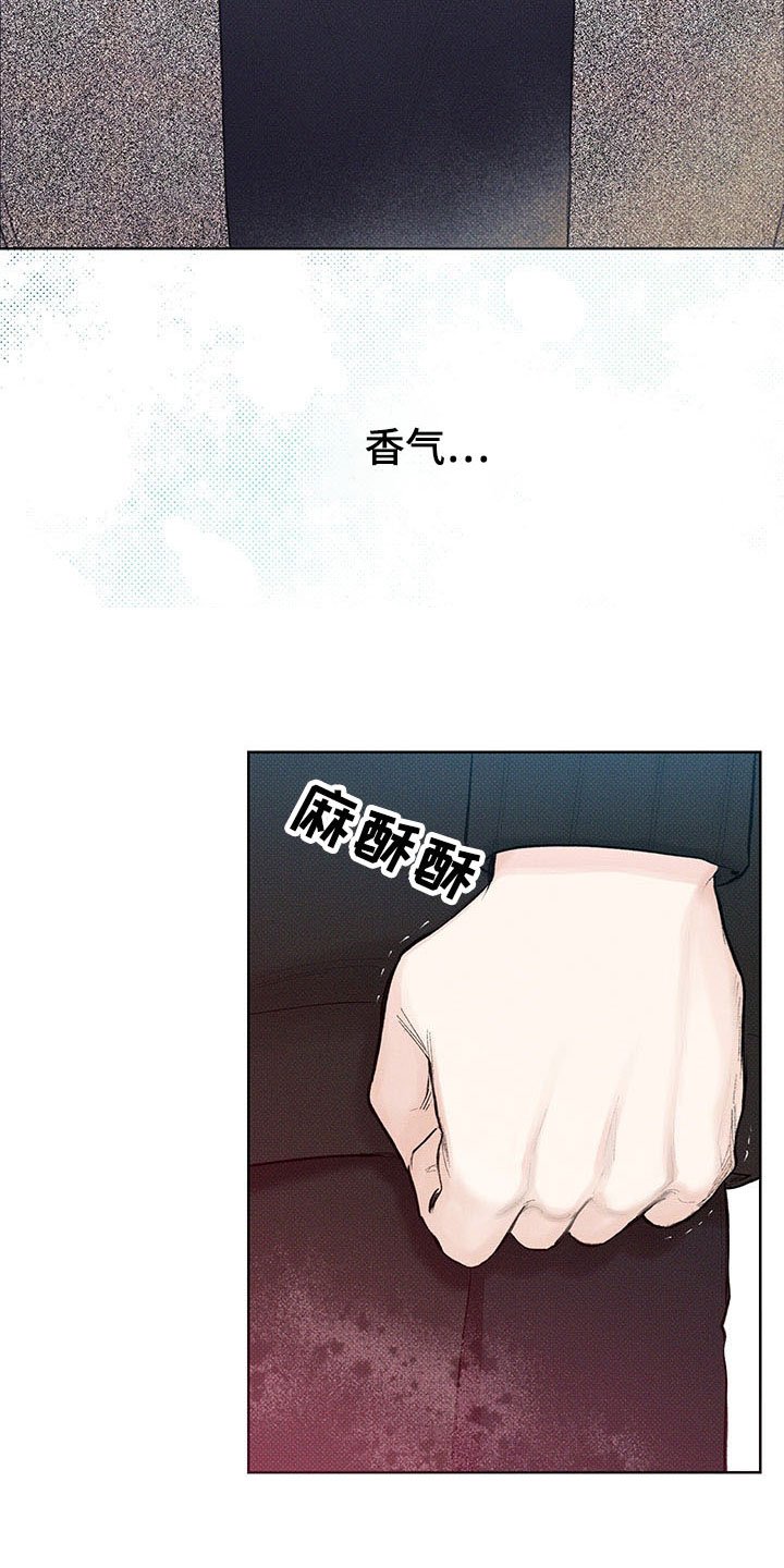 第15章：遐想