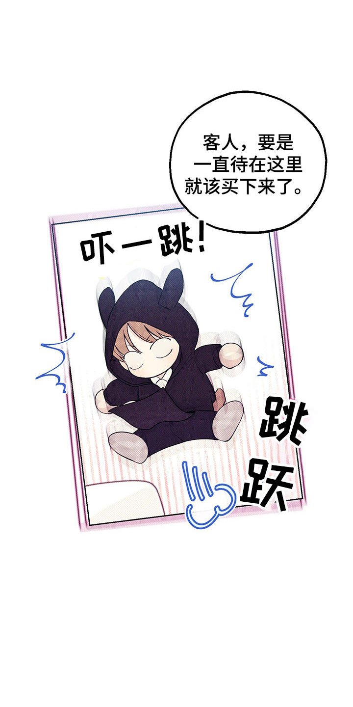 第15章：遐想