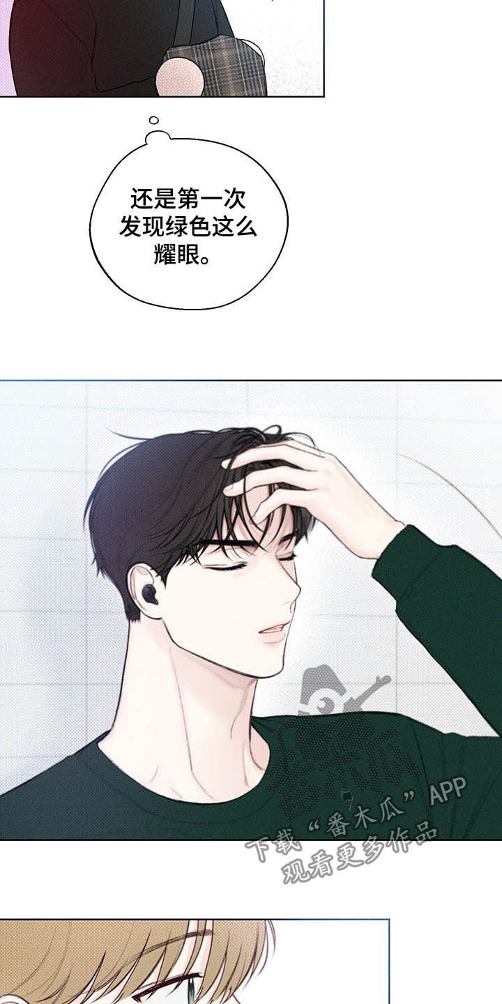 第20章：耀眼