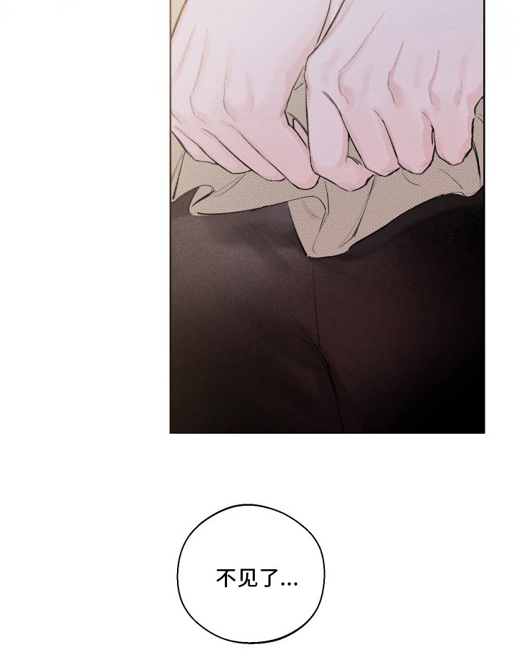 第29章：不见了