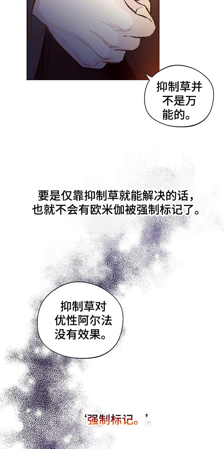 第3章：难寻的运气