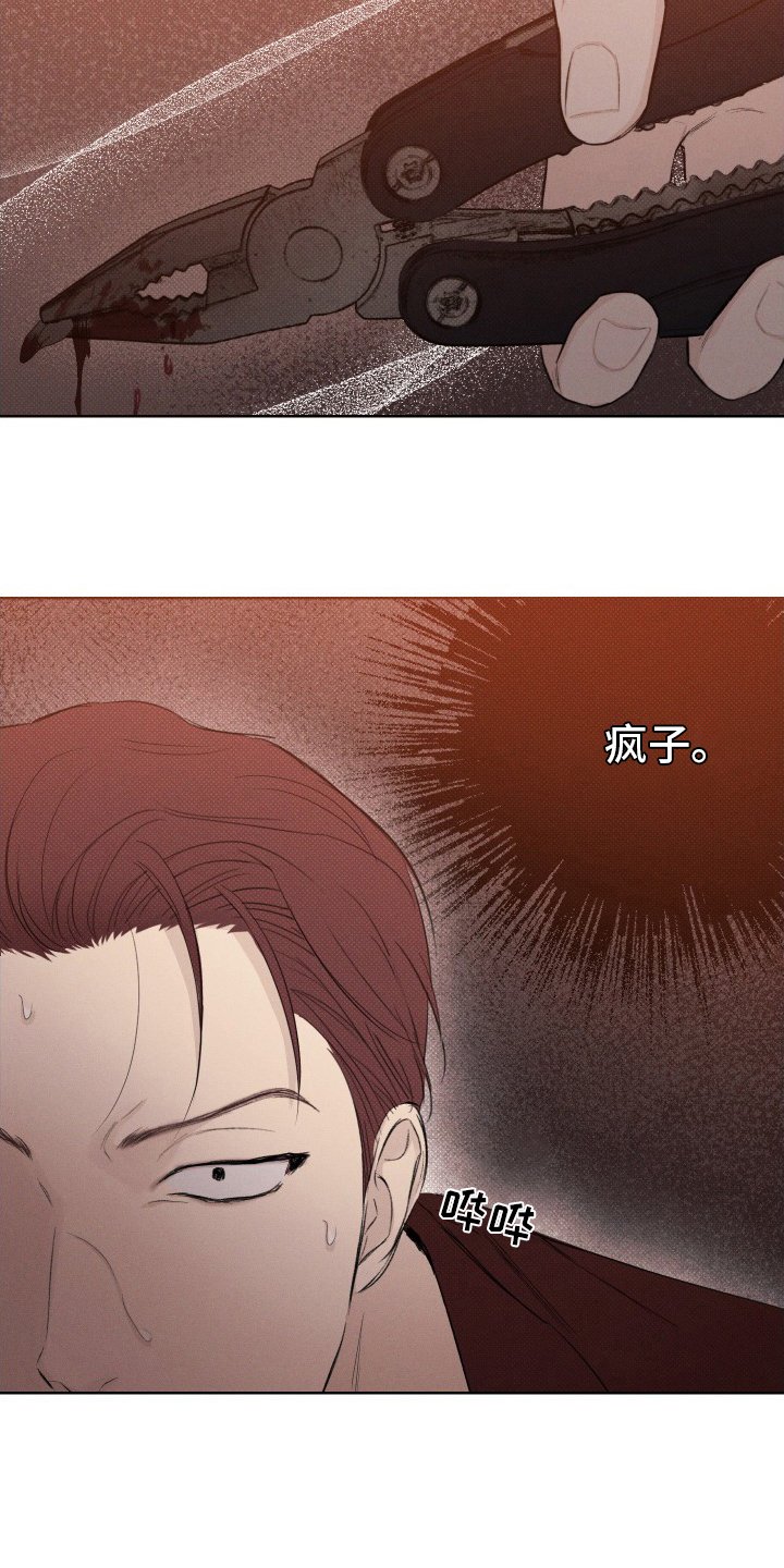 第31章：疯子