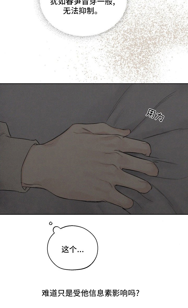 第32章：期待