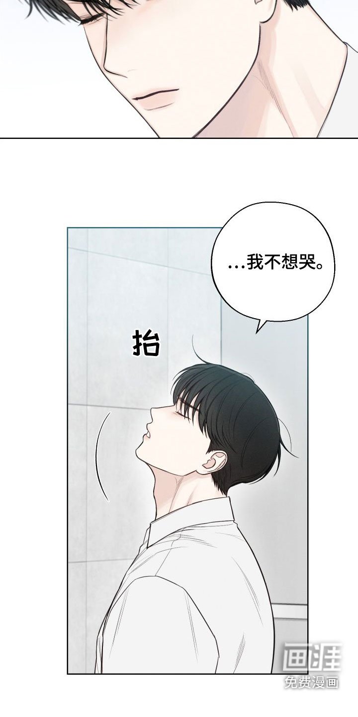 第40章：【第二季】剥洋葱