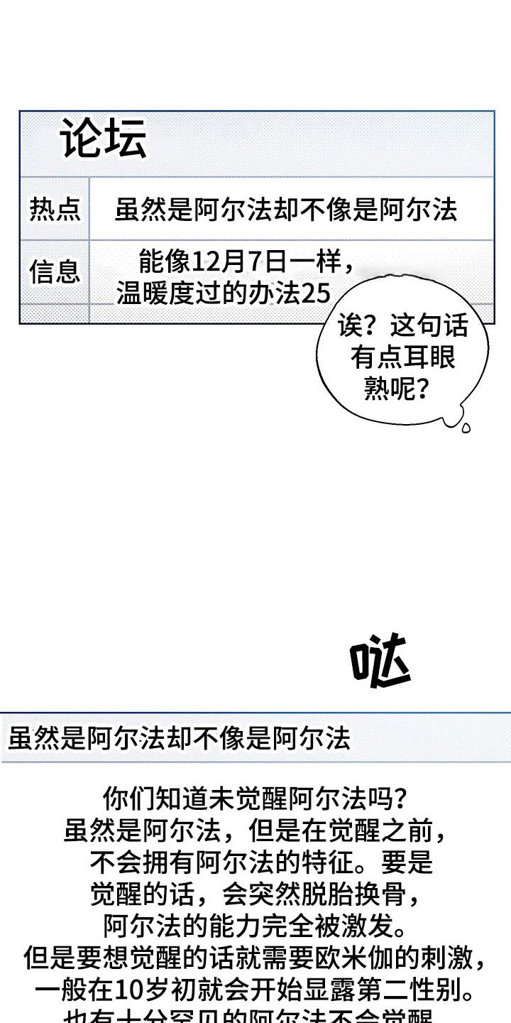 第5章：王国